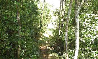 Imagem 7: Fazenda com 2 Dormitorio(s) localizado(a) no bairro Rincão do Cascalho em Portão / RIO GR