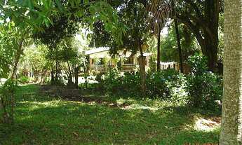 Imagem 5: Fazenda com 2 Dormitorio(s) localizado(a) no bairro Rincão do Cascalho em Portão / RIO GR