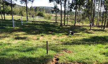 Imagem: Sitio em Capela de Santana