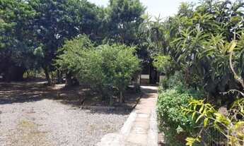 Imagem: TERRENO COM CASA MISTA