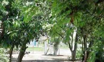 Imagem 4: TERRENO COM CASA MISTA