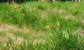 Imagem: TERRENO, 20M² de Área Total