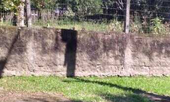 Imagem 2: TERRENO, 775M² de Área Total