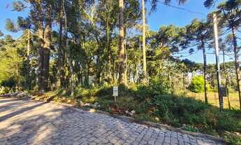 Imagem: Terreno no Vila Pinheiros em Ana Rech