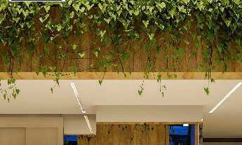 Imagem 5: Residencial Zinfandel - Bairo Panazzolo