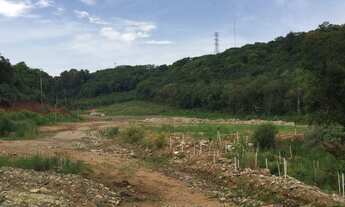 Imagem 4: Terrenos RS 122 Galpão / depósito com venda por R$2.950.000