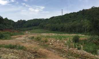 Imagem 5: Terrenos RS 122 Galpão / depósito com venda por R$2.950.000