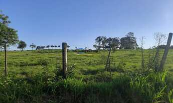 Imagem 4: Sítio com 3 Dormitorio(s) localizado(a) no bairro Macaco Branco em Portão / Rio Grande do