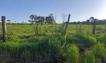 Imagem 5: Sítio com 3 Dormitorio(s) localizado(a) no bairro Macaco Branco em Portão / Rio Grande do