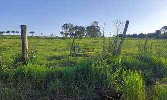 Imagem 6: Sítio com 3 Dormitorio(s) localizado(a) no bairro Macaco Branco em Portão / Rio Grande do