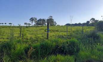 Imagem 7: Sítio com 3 Dormitorio(s) localizado(a) no bairro Macaco Branco em Portão / Rio Grande do