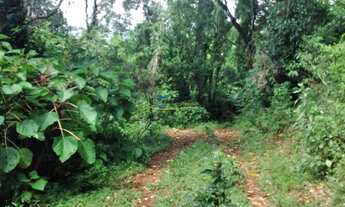 Imagem 3: Área de Terra com 3 Dormitorio(s) localizado(a) no bairro FAZENDA PASSOS em Rolante / Rio