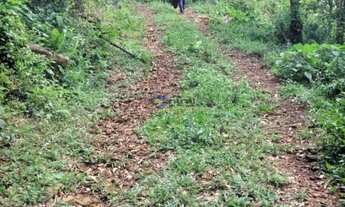 Imagem 4: Área de Terra com 3 Dormitorio(s) localizado(a) no bairro FAZENDA PASSOS em Rolante / Rio