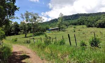 Imagem 2: Área de Terra com 3 Dormitorio(s) localizado(a) no bairro FAZENDA PASSOS em Rolante / Rio
