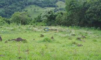 Imagem 6: Área de Terra com 3 Dormitorio(s) localizado(a) no bairro FAZENDA PASSOS em Rolante / Rio