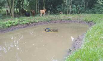 Imagem 7: Área de Terra com 3 Dormitorio(s) localizado(a) no bairro FAZENDA PASSOS em Rolante / Rio