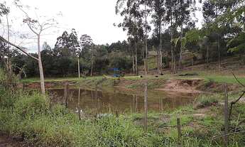 Imagem 3: Área de Terra com 2 Dormitorio(s) localizado(a) no bairro Campo Grande em Estância Velha