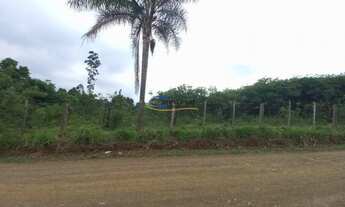 Imagem 2: Área de Terra com 3 Dormitorio(s) localizado(a) no bairro Macaco Branco em Portão / Rio G