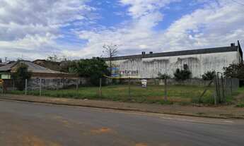 Imagem 6: Terreno com 3 Dormitorio(s) localizado(a) no bairro Rincão Gaúcho em Estância Velha / Rio