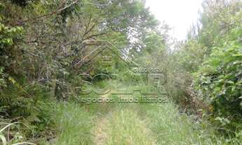 Imagem 6: Área com 4 Dormitorio(s) localizado(a) no bairro Cristo Rei em São Leopoldo / RIO GRANDE