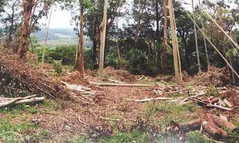 Imagem: Área de Terras Rural, na entrada da Entrada