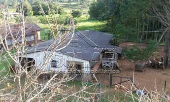 Imagem 6: Chácara / Sítio com 3 Dormitorio(s) localizado(a) no bairro Lomba Grande em Novo Hamburgo