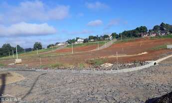 Imagem 2: Terreno plano 11,42 x 26,28 m no colina Bairro Boa Vista lote 7 quadra 14