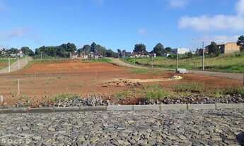 Imagem 1: Terreno plano 11,42 x 26,28 m no colina Bairro Boa Vista lote 7 quadra 14