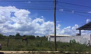 Imagem 4: Vendo (2) terrenos 11 x 33 cada um , medindo 726 m² ao total. Todo cercado e limpo plano