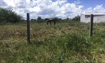 Imagem 5: Vendo (2) terrenos 11 x 33 cada um , medindo 726 m² ao total. Todo cercado e limpo plano