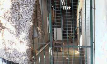 Imagem 7: Casa de alvenaria com 1 dormitório em terreno de 10x40 m