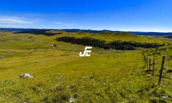 Imagem 7: ÁREA A VENDA EM BOM JARDIM DA SERRA IDEAL PARA CHALÉS