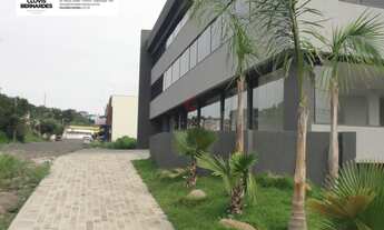 Imagem 2: Loja no Centro de Sapiranga!