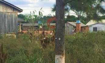 Imagem 4: Terreno em Sapiranga