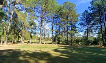 Imagem: Chácara na divisa de Sapiranga com Araricá!