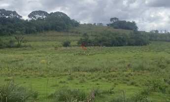 Imagem 2: Área de terras em Porto Palmeira Sapiranga!