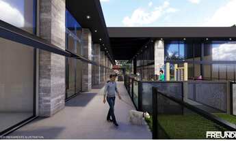 Imagem 6: Complexo Heinz Leist