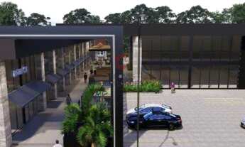 Imagem 5: Complexo Heinz Leist