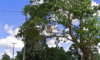 Imagem: Terreno com 15.246m² pra venda na Av Artemia