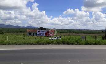 Imagem: Terreno para venda às margens da BR 116