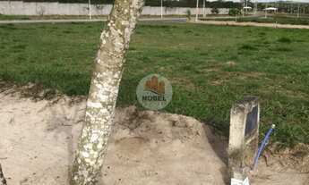 Imagem 4: Excelente lote para venda em condomínio no bairro SIM