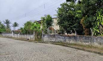 Imagem 3: Chácara a Venda com Área Total 3.690 m² Cidade Amélia Rodrigues Bahia