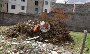 Imagem 7: Terreno para venda no bairro Tomba em Feira de Santana