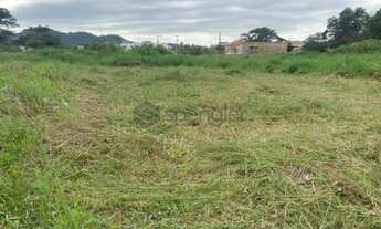 Imagem: Terreno - Figueira