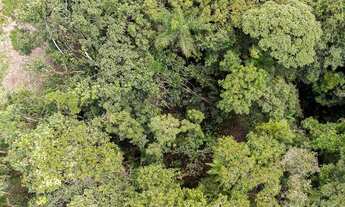 Imagem 7: Terreno em área rural, na cidade de Gaspar