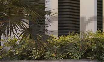 Imagem 5: Dolphin Bay, em Penha!