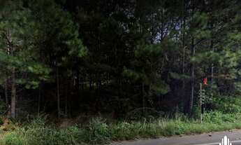 Imagem: Sítio em Gravataí