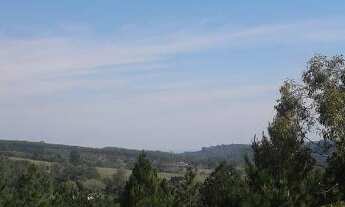 Imagem 4: Sítio em Gravataí