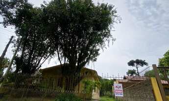 Imagem: Terreno com 3 Dormitorio(s) localizado(a)