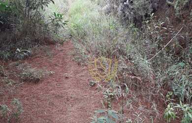 Imagem 6: Terreno à venda, 1050 m² por R$ 300.000,00 - Albuquerque - Teresópolis/RJ